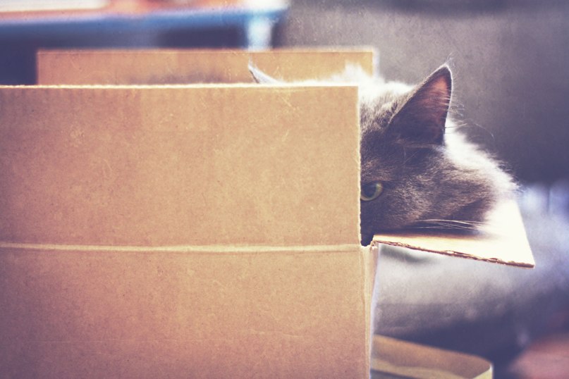 Ирина Генюш | Красноярск