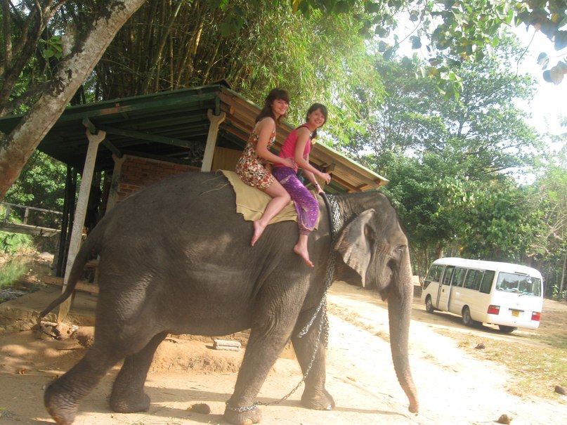 Аня Гасилина | Королёв