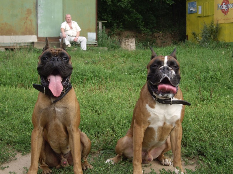 Константин Титов Евгеньевич | Москва