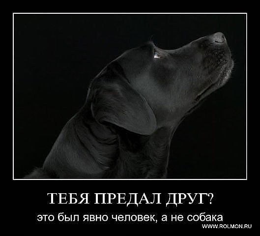 Женя Аристова-Бехтянова | Коломна