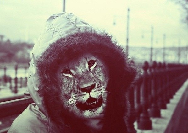 Сергей Игоревич | Москва