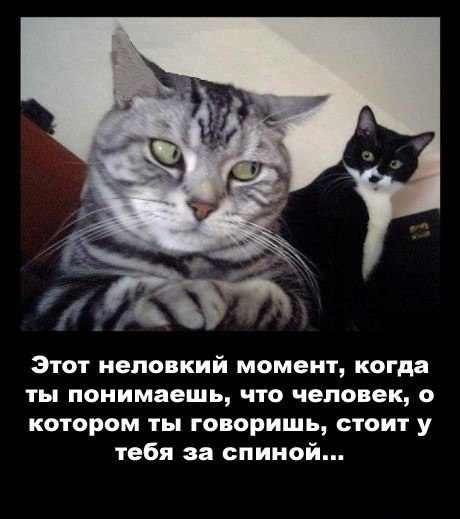 Сергей Рябошапко | Кременчуг