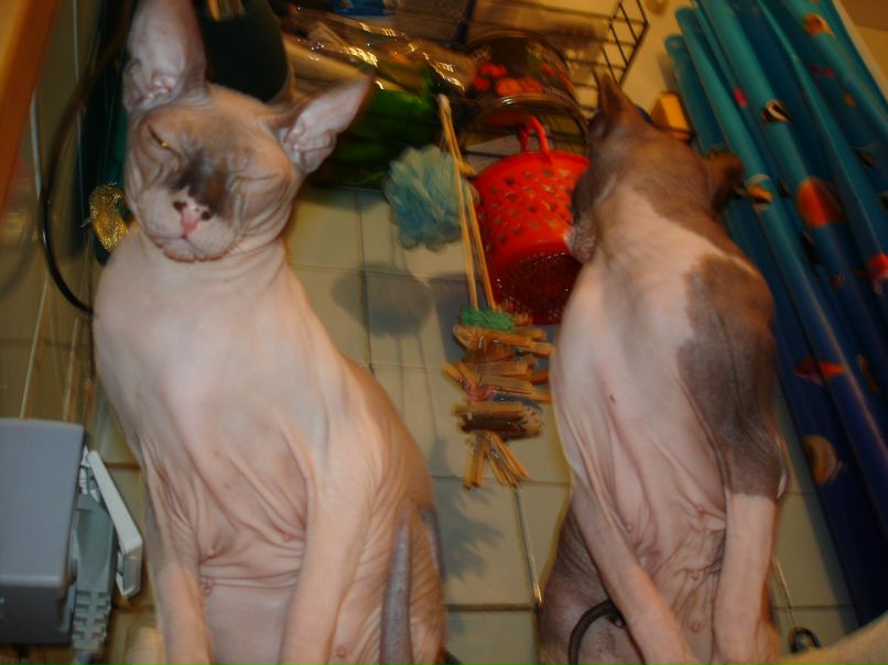 Денис Жильцов | Москва