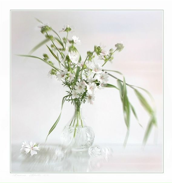 Нежность. Нежность. Необычные вазы. Изящество цветов. Изящество цветов.