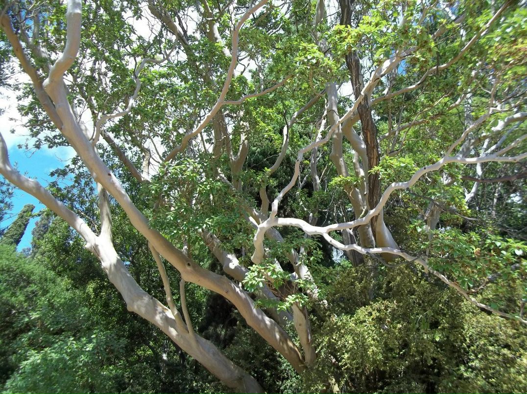 Алексей Зинюк | Бердянск