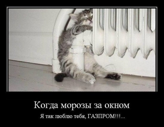 Катерина Жилина | 