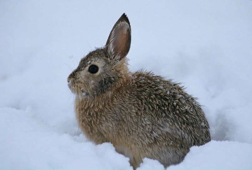 Антон Филипов | Красноярск