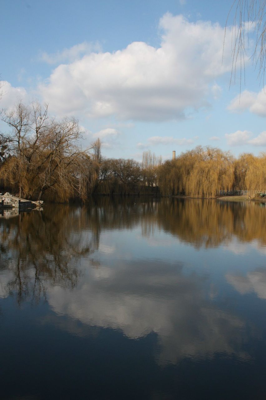 Светлана Лыско | Ровно