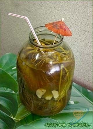 №5, Евгений Чанчанвин №5, Евгений Чанчанвин