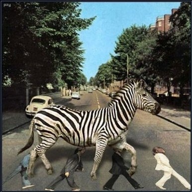 Роман Фокин | Киров