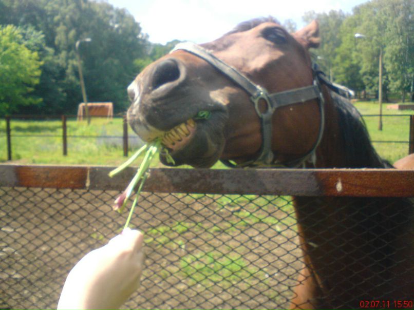 Айдар Раянов | Уфа