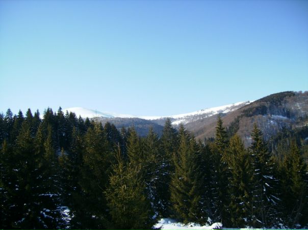 №4, Дарья Вороневич, 40 лет, Киев №4, Дарья Вороневич, 40 лет, Киев