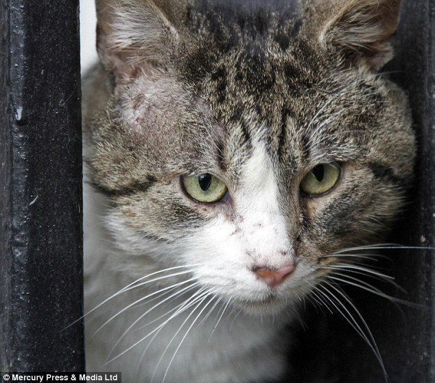 Марина Невская | Санкт-Петербург