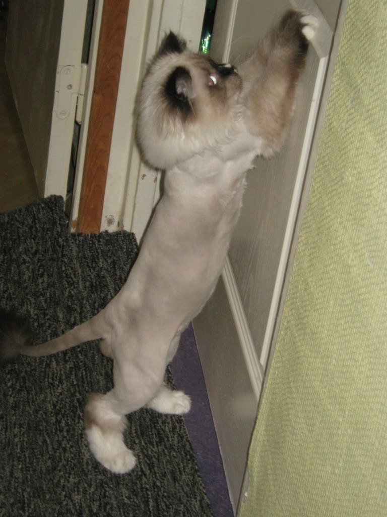 Линк@ Cool | Москва