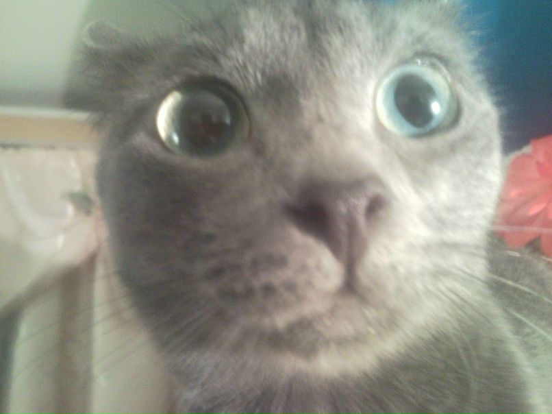 Антон Фролов | Петрозаводск