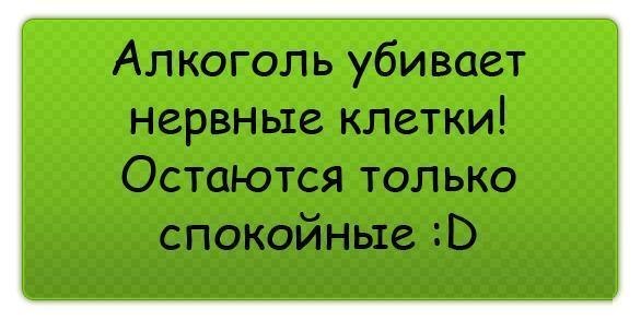 Светлана Тихомирова | Санкт-Петербург
