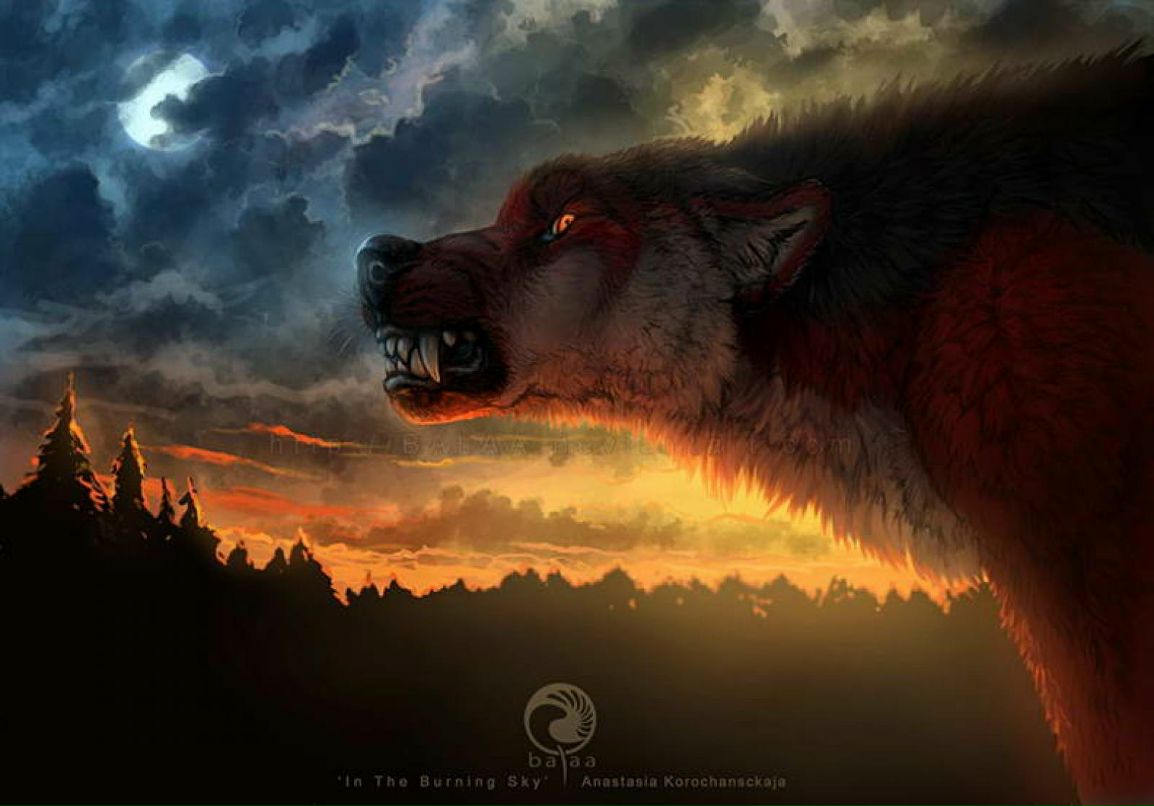 Данис Гирфанов | Санкт-Петербург