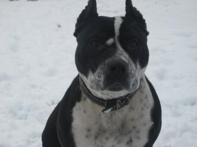 Andrej Kulyk | Хмельницкий