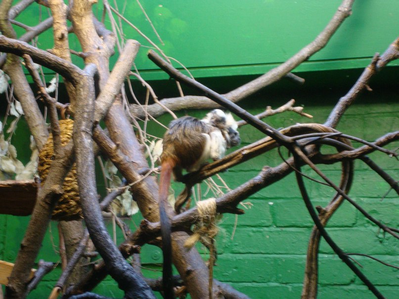 Егор Карпенков | Санкт-Петербург