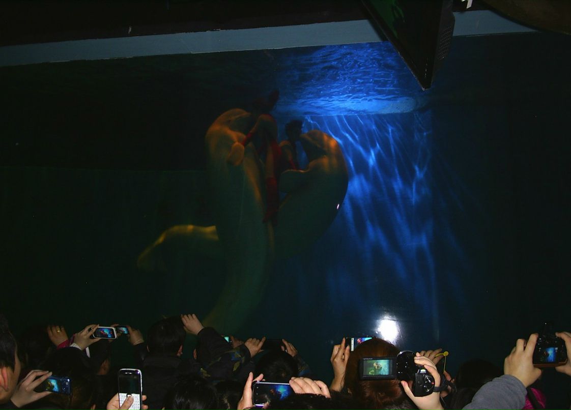 Сергей Пономарев ˙·٠✈ | Новосибирск