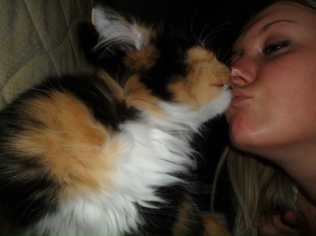 Алёна Шелиспанская | Тула