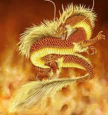 №17, Султан Ануханов №17, Султан Ануханов