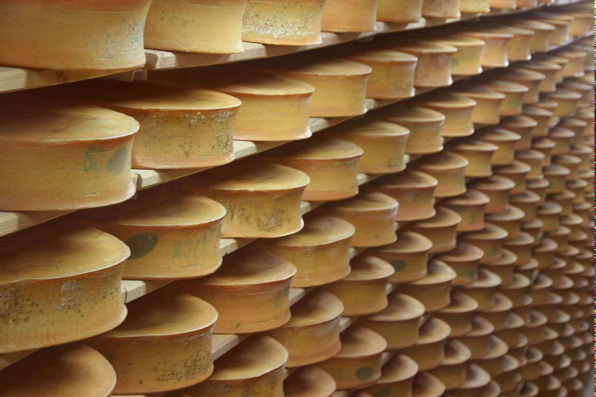 Юлия Болтенкова | Москва