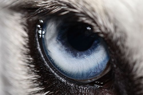 Slava Narbut | Братское