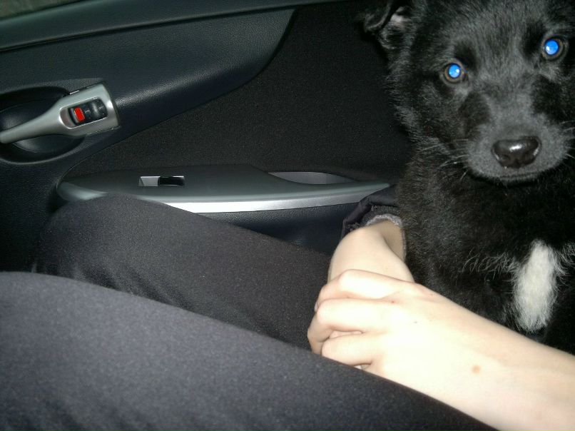 Максим Егоров | Казань