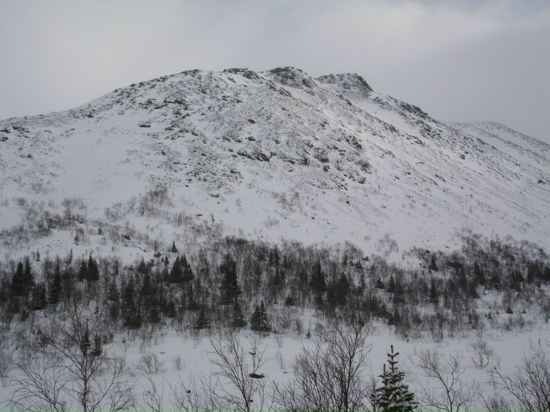 Демьян Лесик | Санкт-Петербург