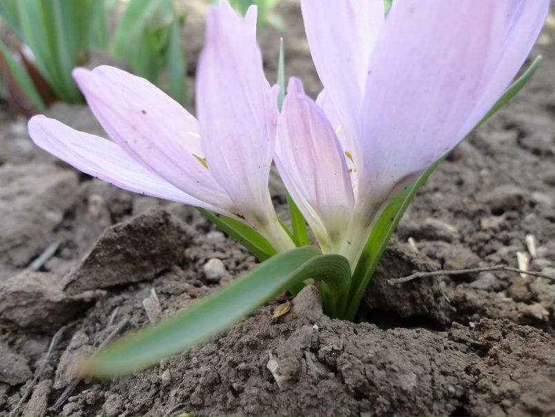 №34, Марина Кушко, Харьков №34, Марина Кушко, Харьков