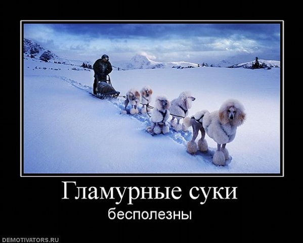 №26, Сергей Царьков, Джанкой №26, Сергей Царьков, Джанкой