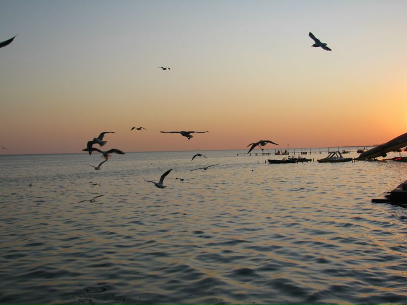 Таня Литвин | Киев