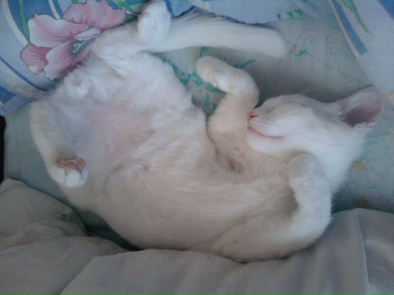 Olga Kost | Обухов