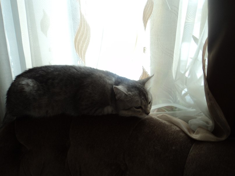 Мухаммад Кулинов | 