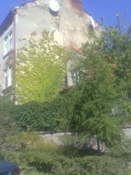 №129, Сергій Мельничук, 40 лет, Львов №129, Сергій Мельничук, 40 лет, Львов