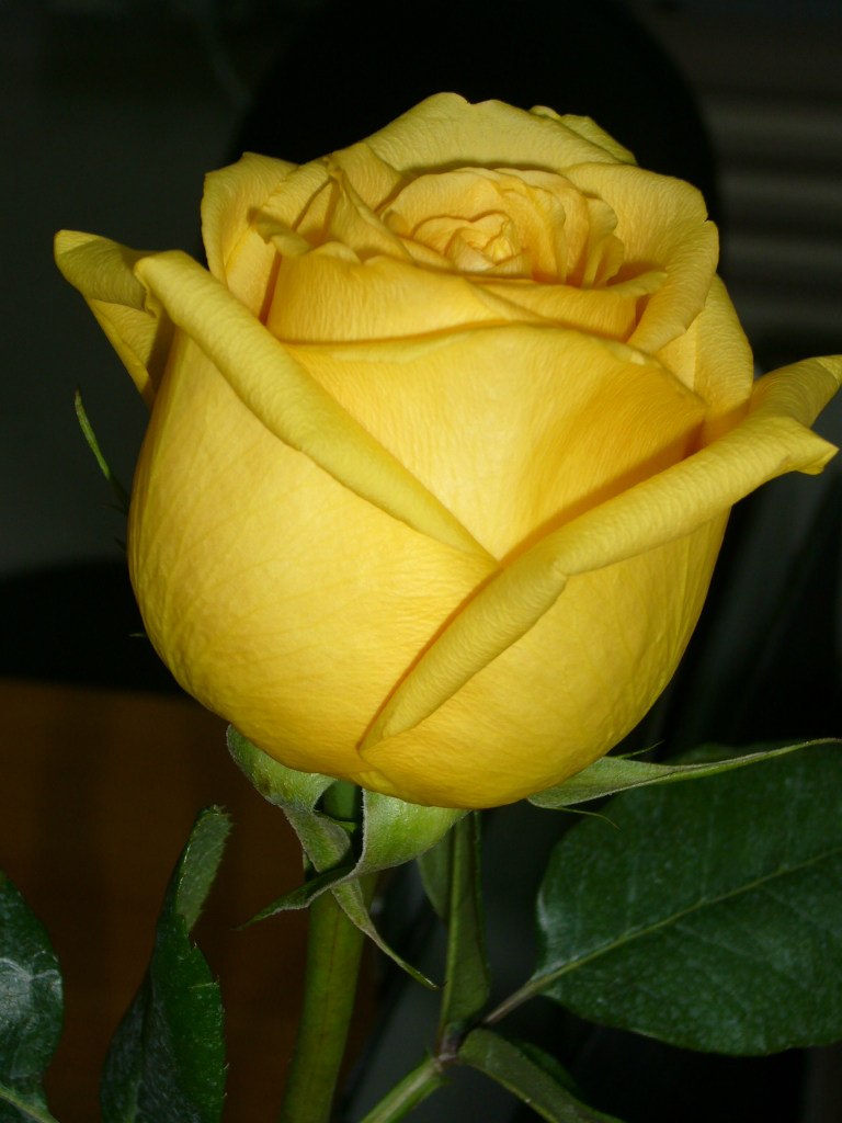 Olga Alabuzheva | Ижевск