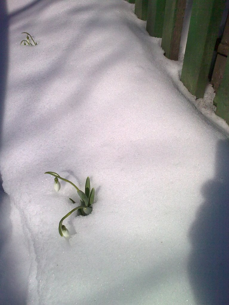 Лариса Вербицкая | Таганрог