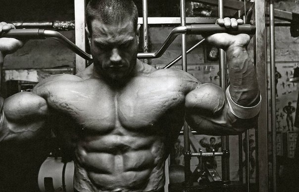 Анзор Ферзаули | Hamburg