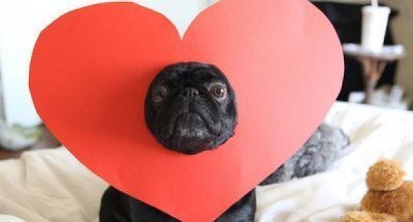 Людмила Кошевенко | Чернигов