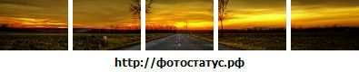 Фотография Екатерина Саидова