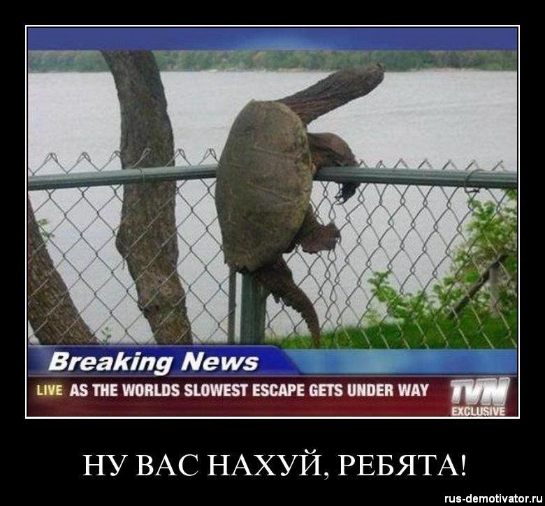 Дмитрий Митителу | Москва
