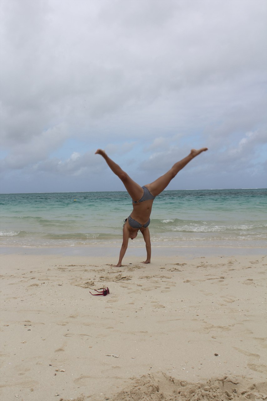 Kiti Cat СИБИРЯКА)٩(̾●̮̮̃̾•̃̾)۶ | Floréal