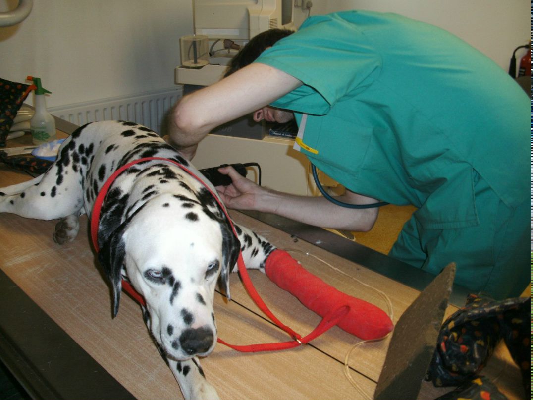 Эдгар Осьминин Amadeus | Каунас