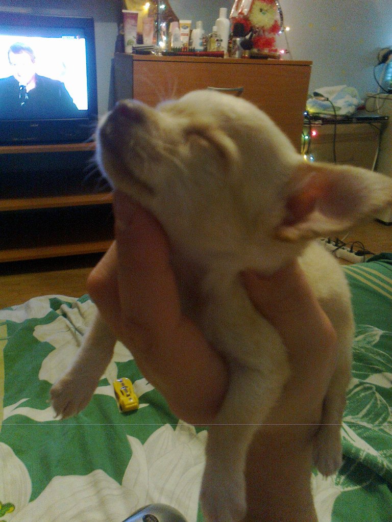 Лариса Першина | Красноярск