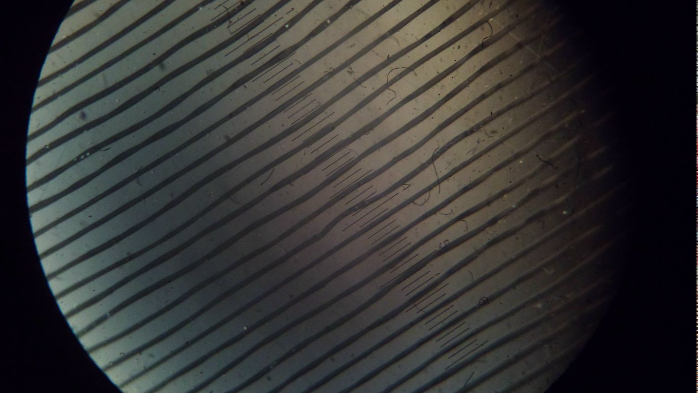 Вітя Німа AxeL-V | Киев