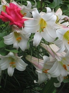 №20, Гузель Шамсутдинова, Казань, Россия №20, Гузель Шамсутдинова, Казань, Россия