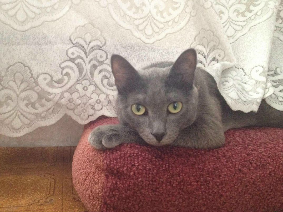 Александра Рысикова | Красноярск