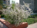 Фотография Кулькова Александра