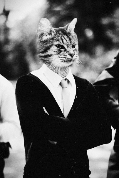 Макс Егоров | Москва